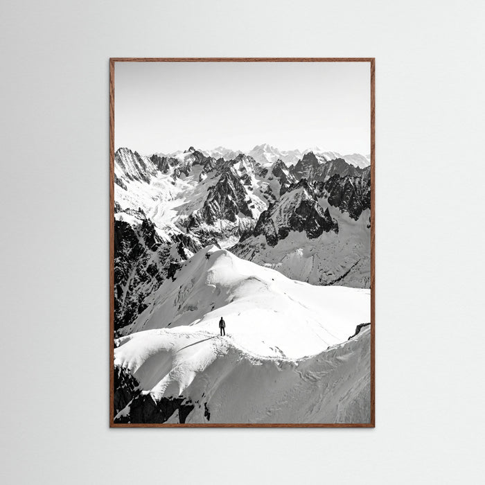 Oak Dark Alpine Solitude