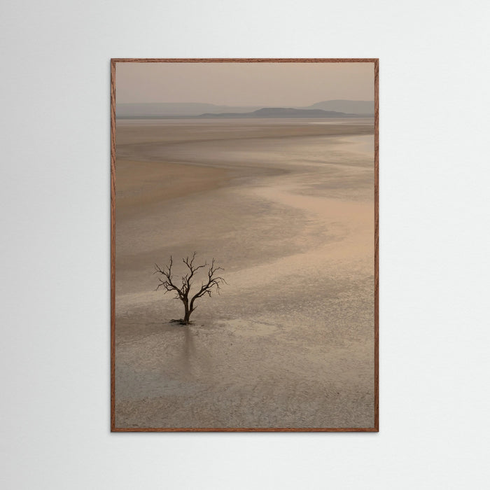 Oak Dark Arid Horizon