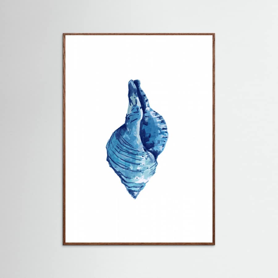 Affiche Blue Seashell On White Background No3 – affiche et impression d’art