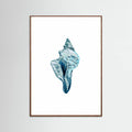 Blue Seashell On White Background No4 Poster – poster och konsttryck