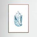 Blue Seashell On White Background No6 Poster – plakat og kunsttryk