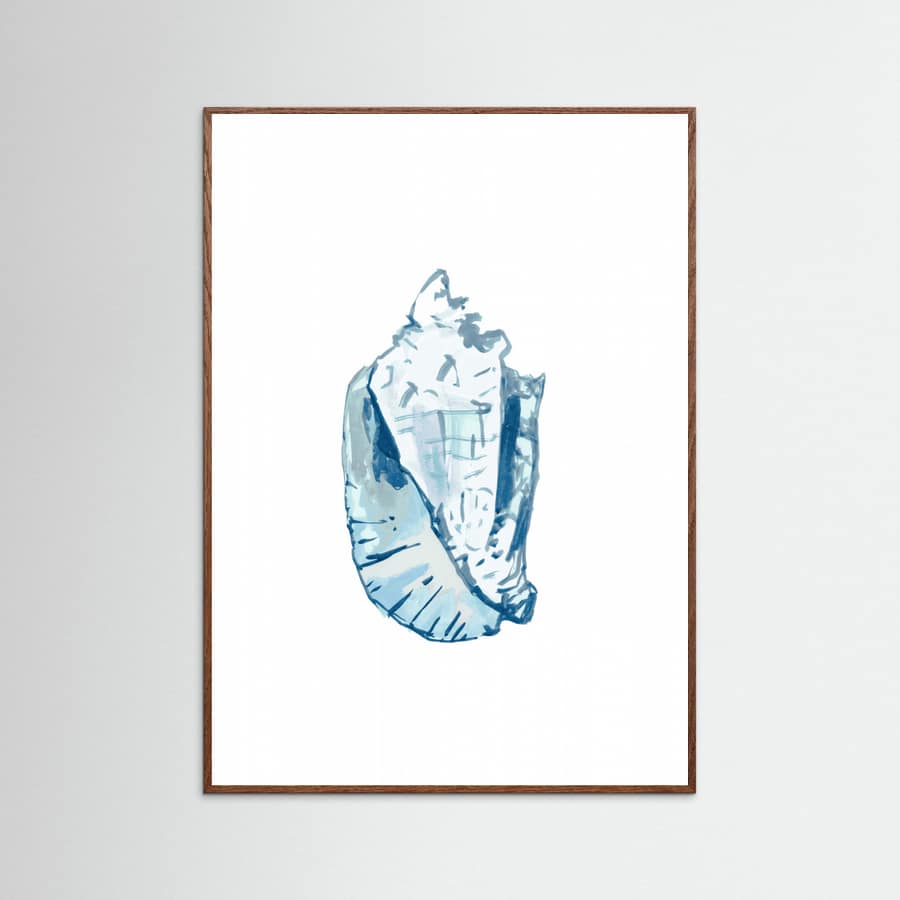 Blue Seashell On White Background No6 Poster – plakat og kunsttryk