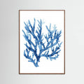 Bluecoral(watercolor) Poster – plakat og kunsttryk