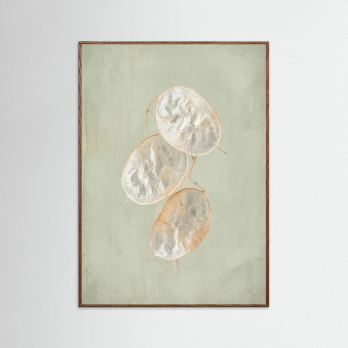 Oak Dark Blush Bloom