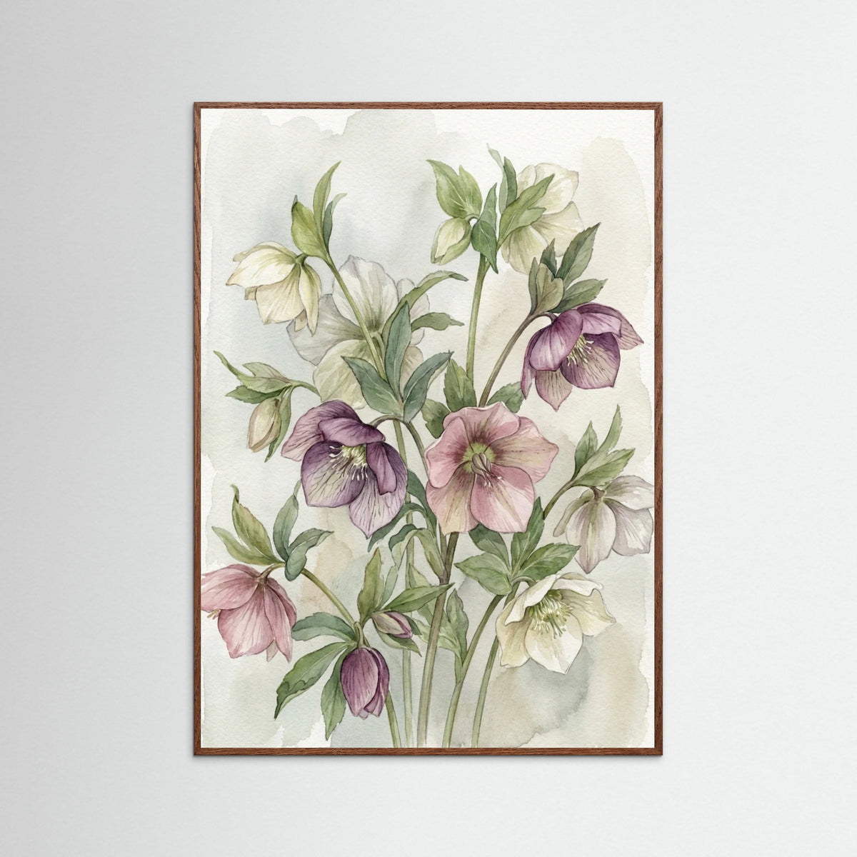 Oak Dark Blushing Magnolias