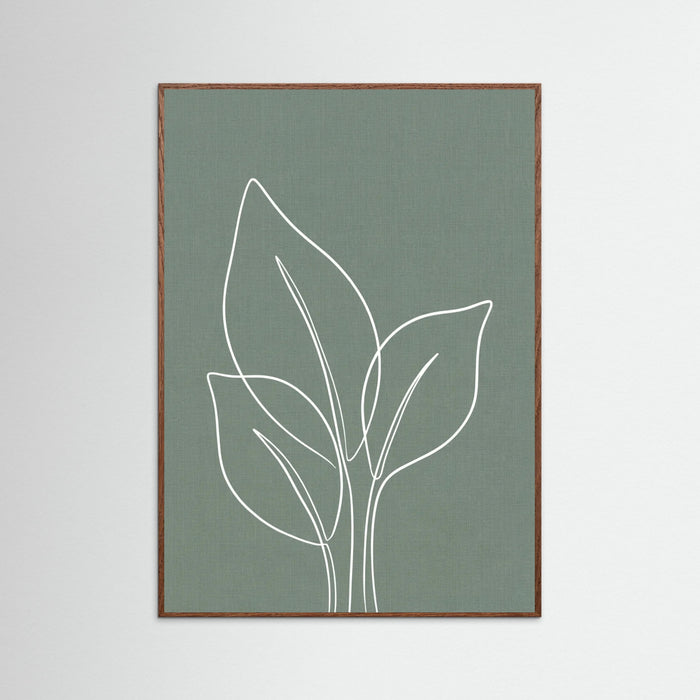 Oak Dark Botanical Calm