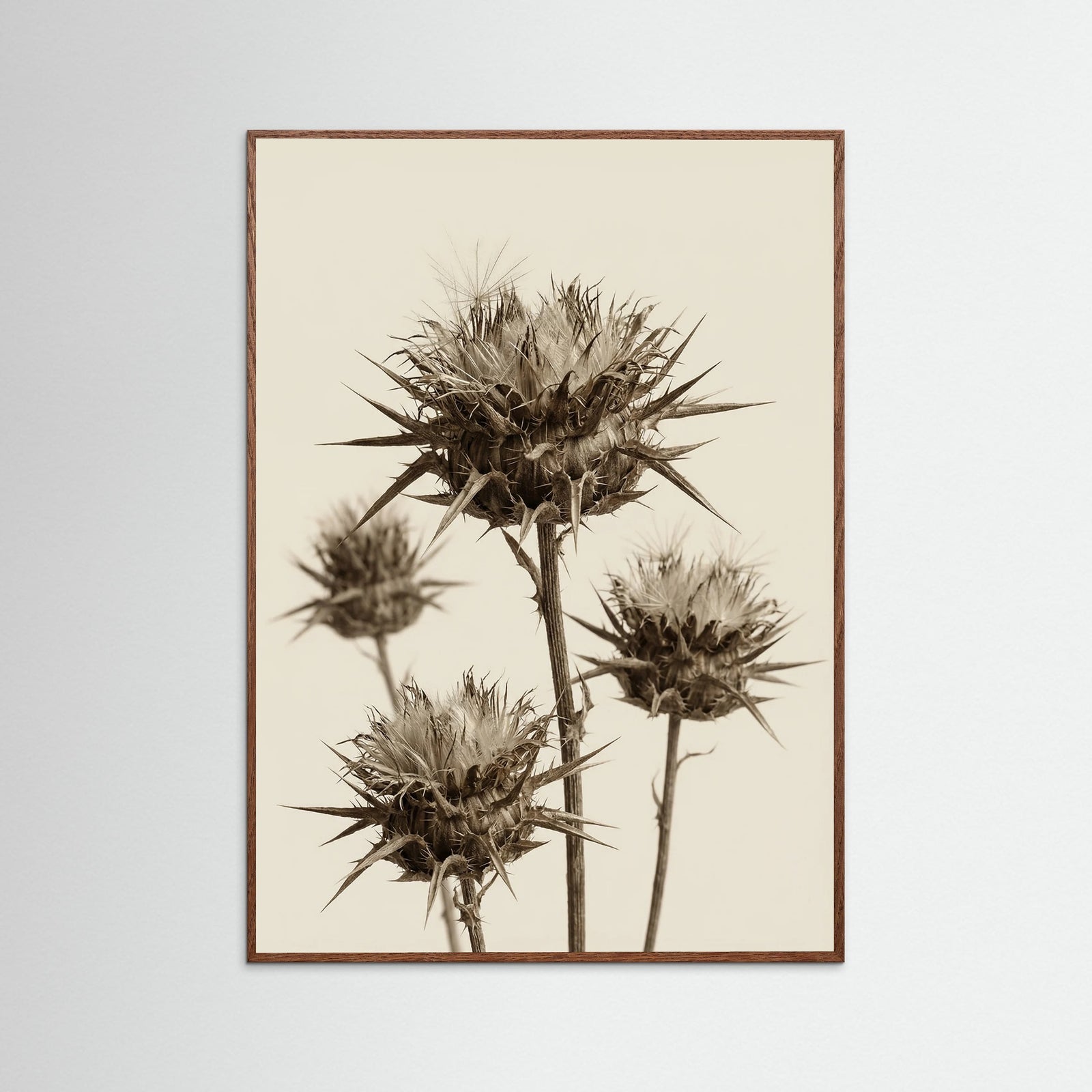 Oak Dark Botanical Elegance