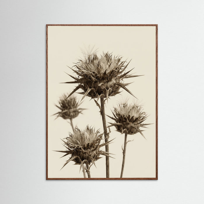Oak Dark Botanical Elegance
