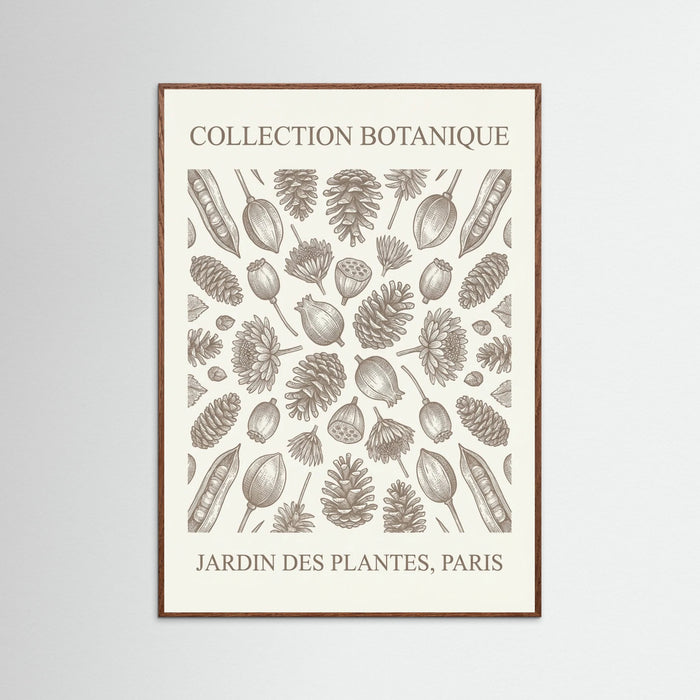 Oak Dark Botanical Etchings