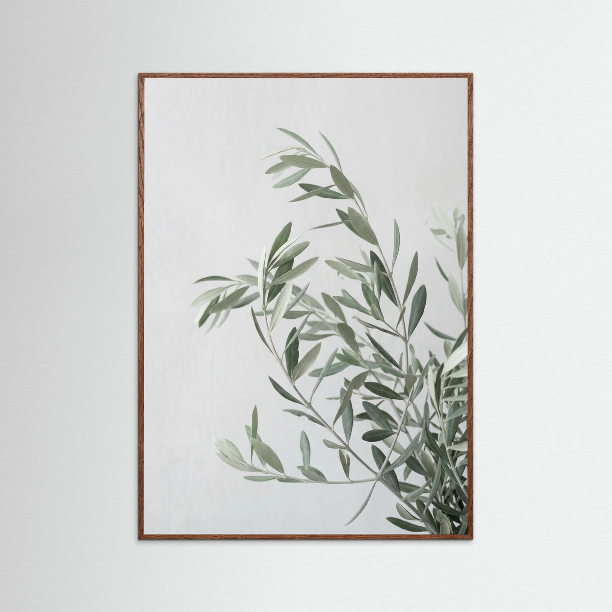 Oak Dark Botanical Grace