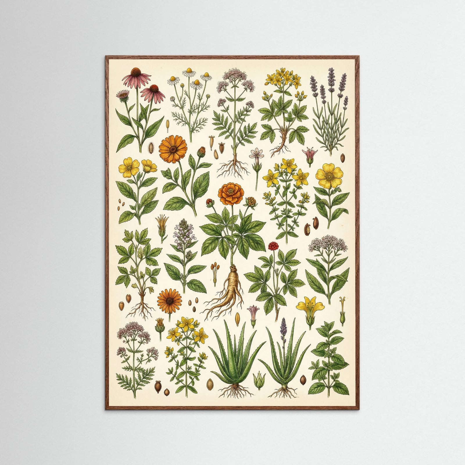 Oak Dark Botanical Harvest