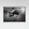 Oak Dark Bucking Calf Ride Poster