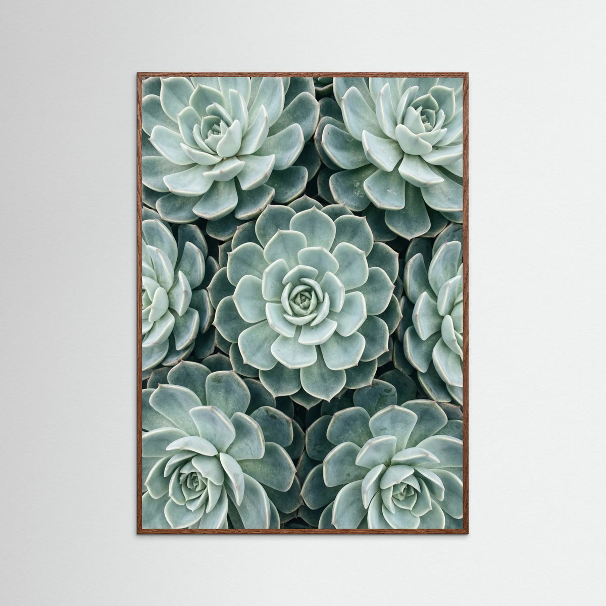 Oak Dark Cactus Array