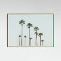 Póster Cali Palms – póster e impresión artística