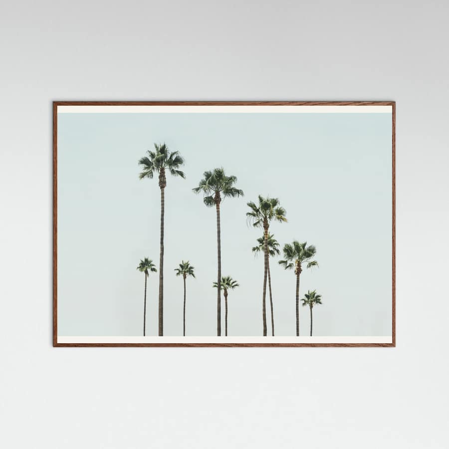 Póster Cali Palms – póster e impresión artística