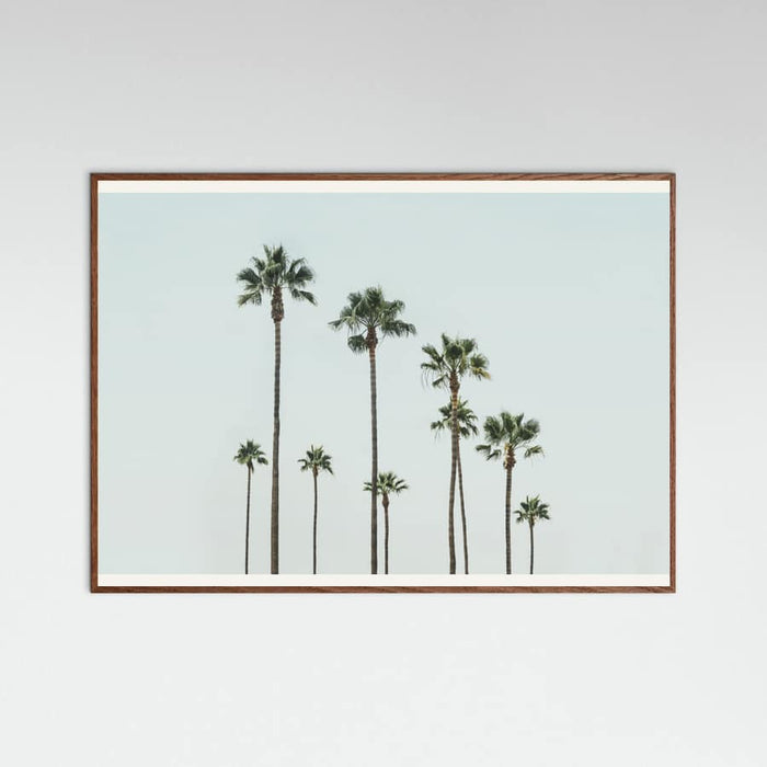 Póster Cali Palms – póster e impresión artística