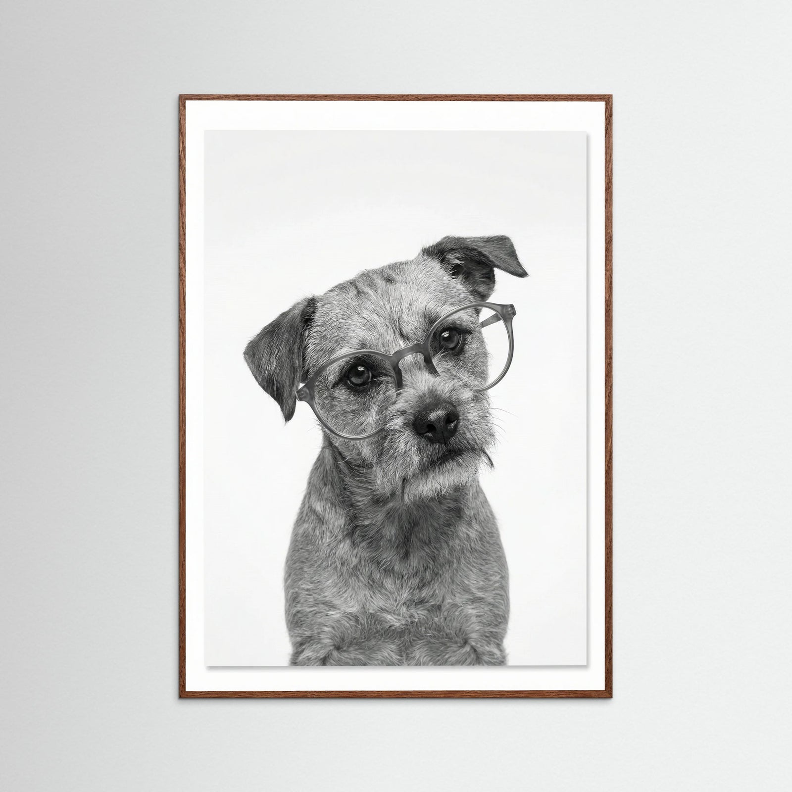 Oak Dark Canine Companions