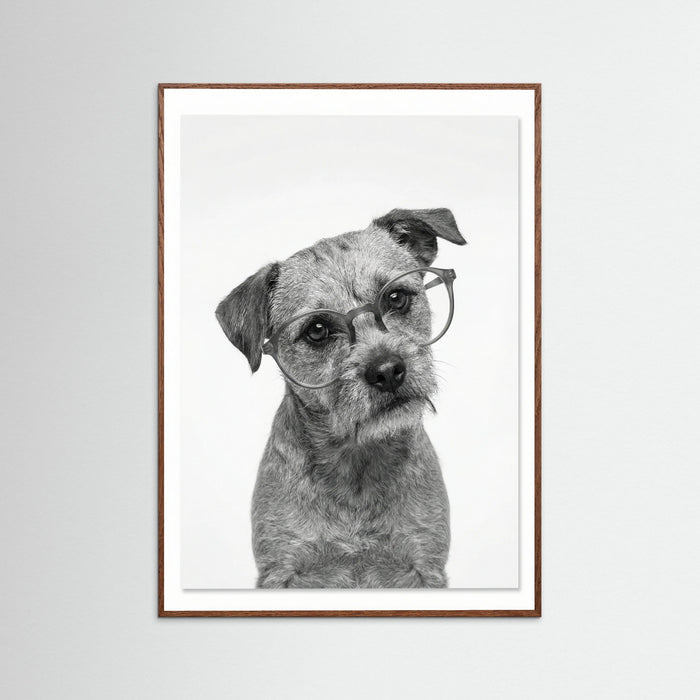 Oak Dark Canine Companions