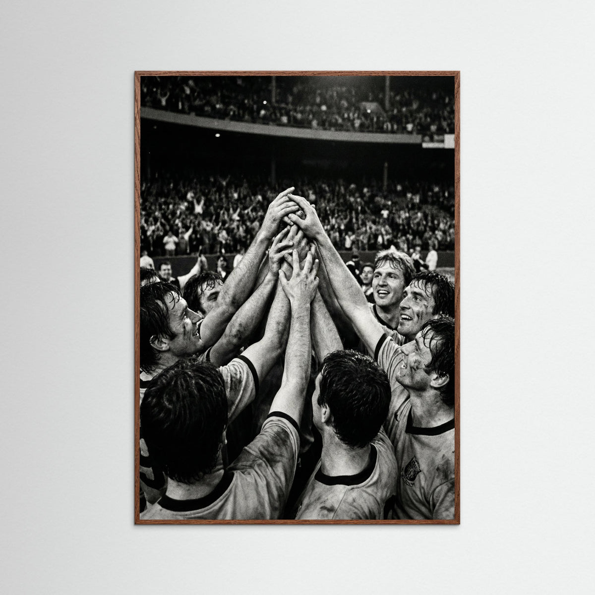 Oak Dark Champions Gaze