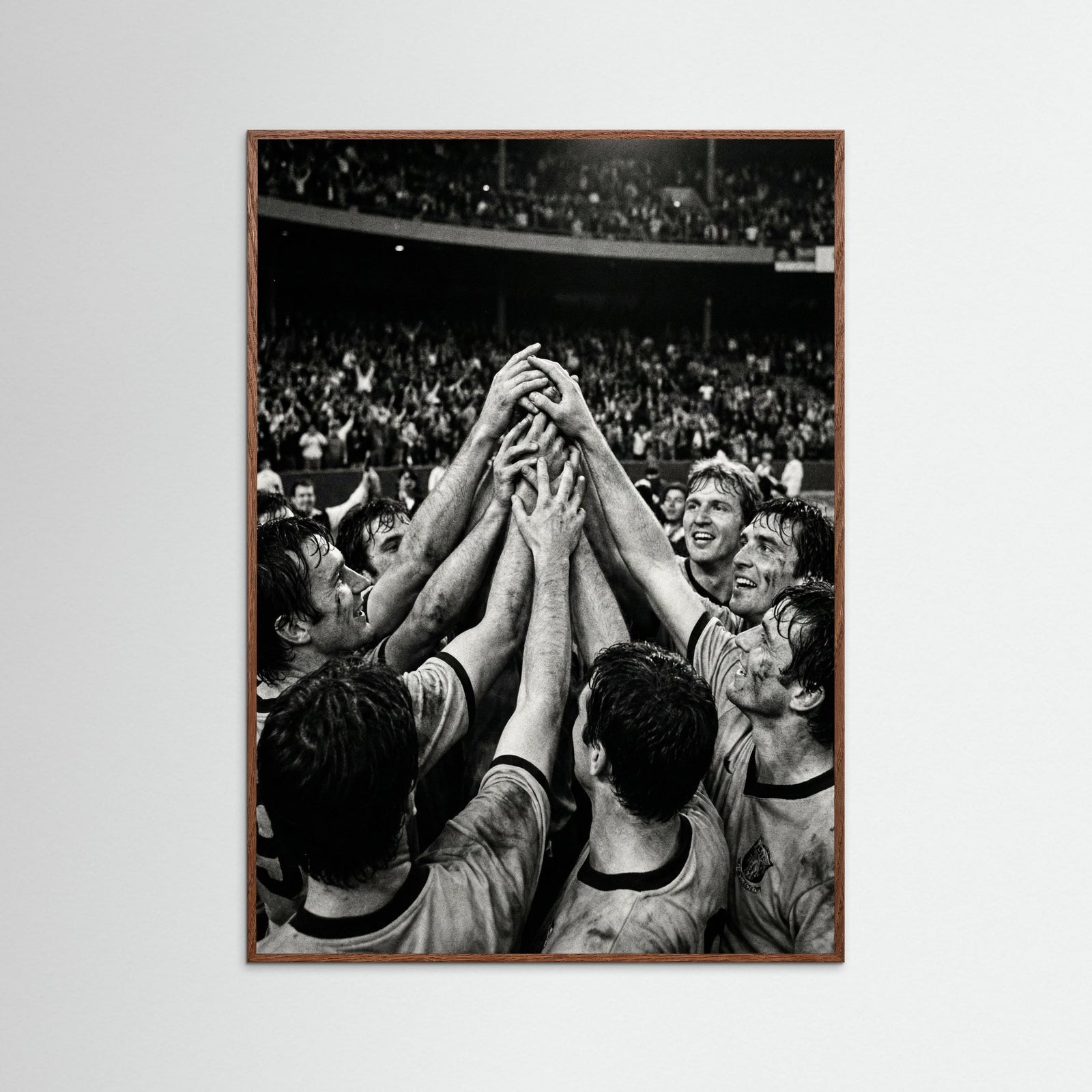 Oak Dark Champions Gaze