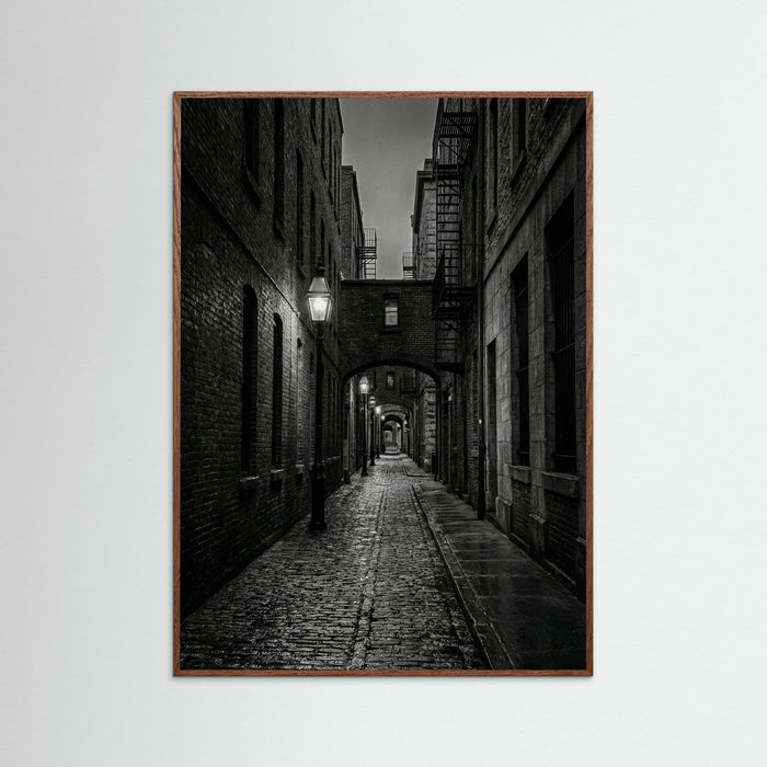 Oak Dark Citys Quiet Rest