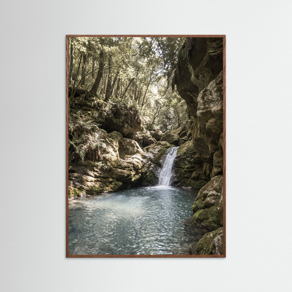 Oak Dark Coastal Arches