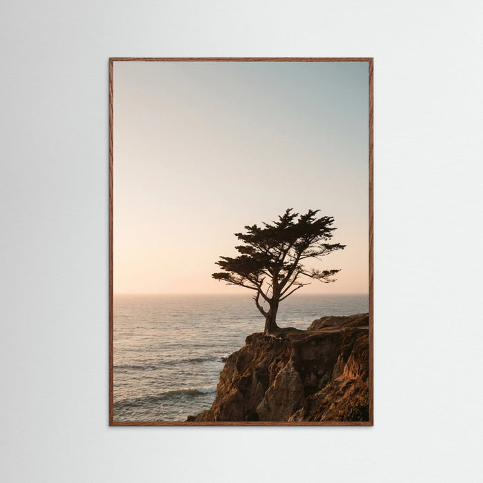 Oak Dark Coastal Horizon