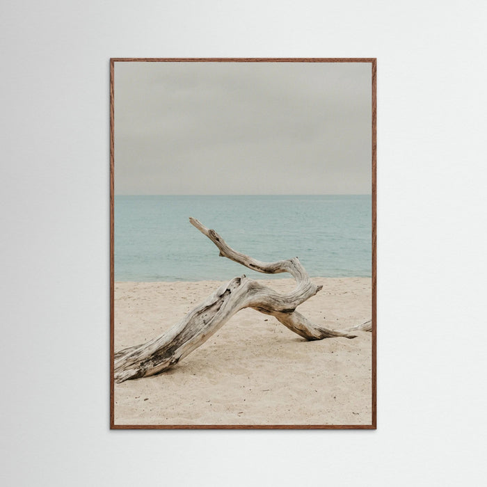 Oak Dark Coastal Seren