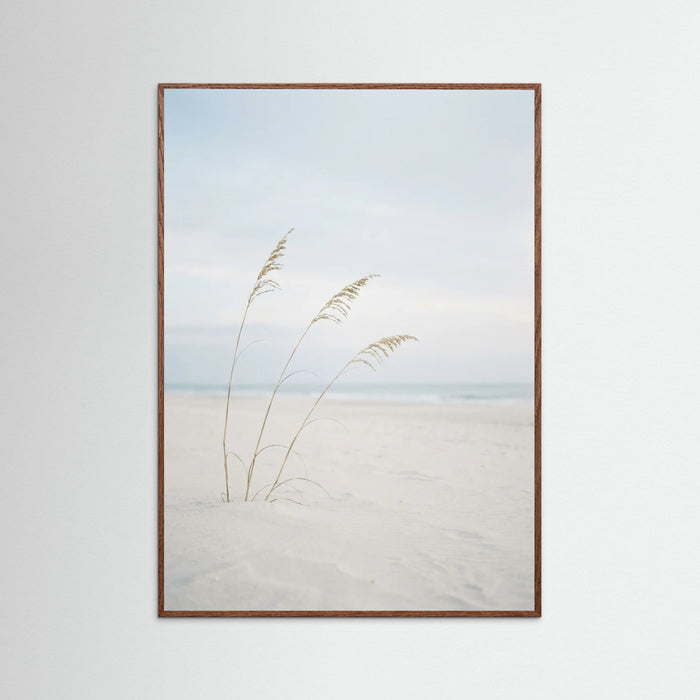 Oak Dark Coastal Serenity