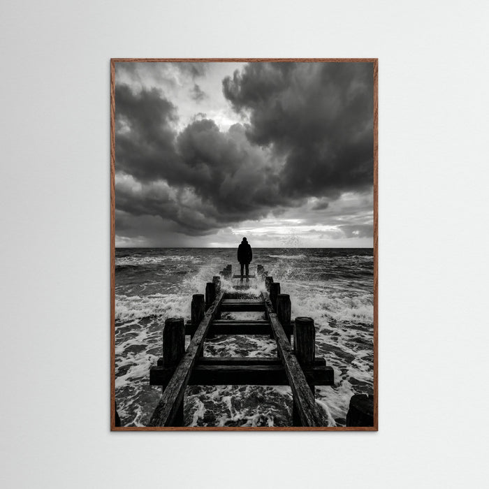 Oak Dark Coastal Solitude