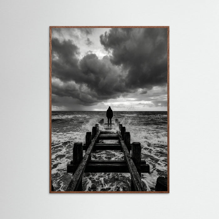 Oak Dark Coastal Solitude