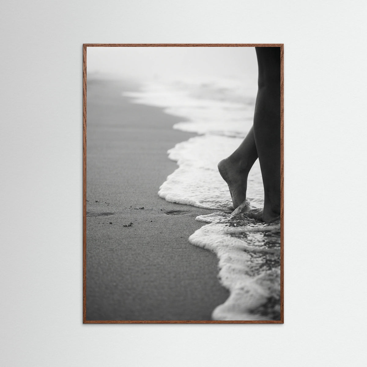 Oak Dark Coastal Wanderer