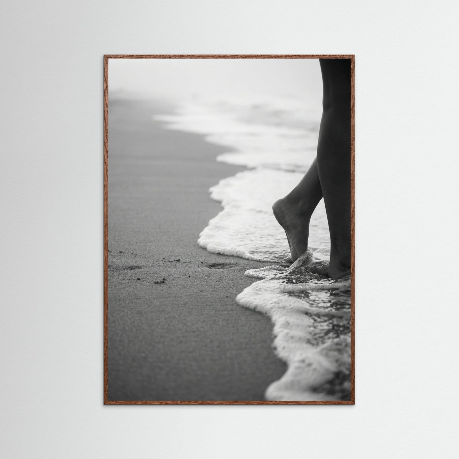 Oak Dark Coastal Wanderer