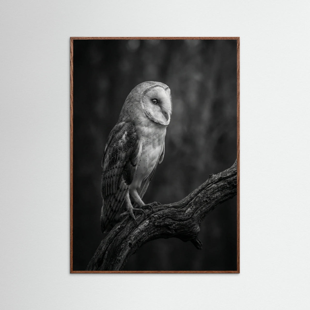 Oak Dark Contrasting Companions