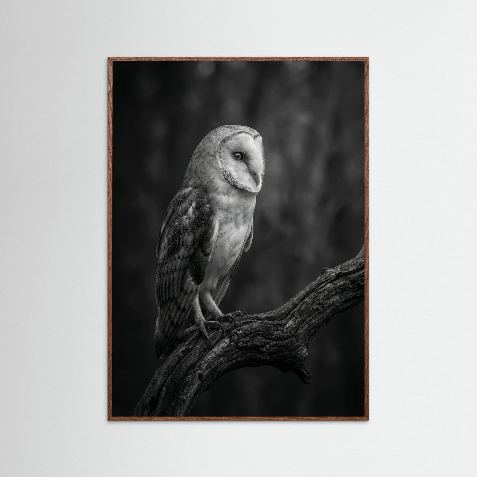 Oak Dark Contrasting Companions