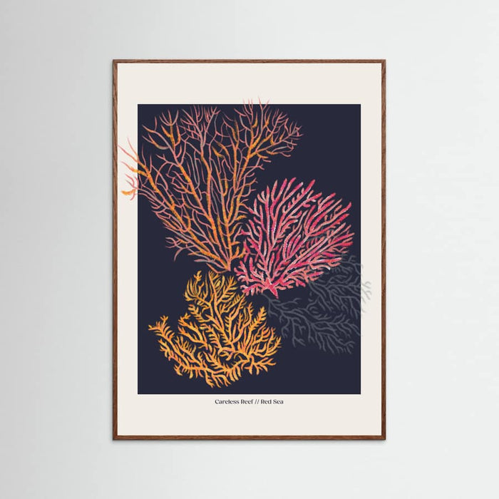Affiche Coral Garden Careless Reef – affiche et impression d’art