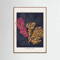 Affiche Coral Garden Paradise Garden – affiche et impression d’art