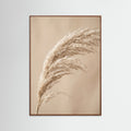 Oak Dark Cotton Serenity