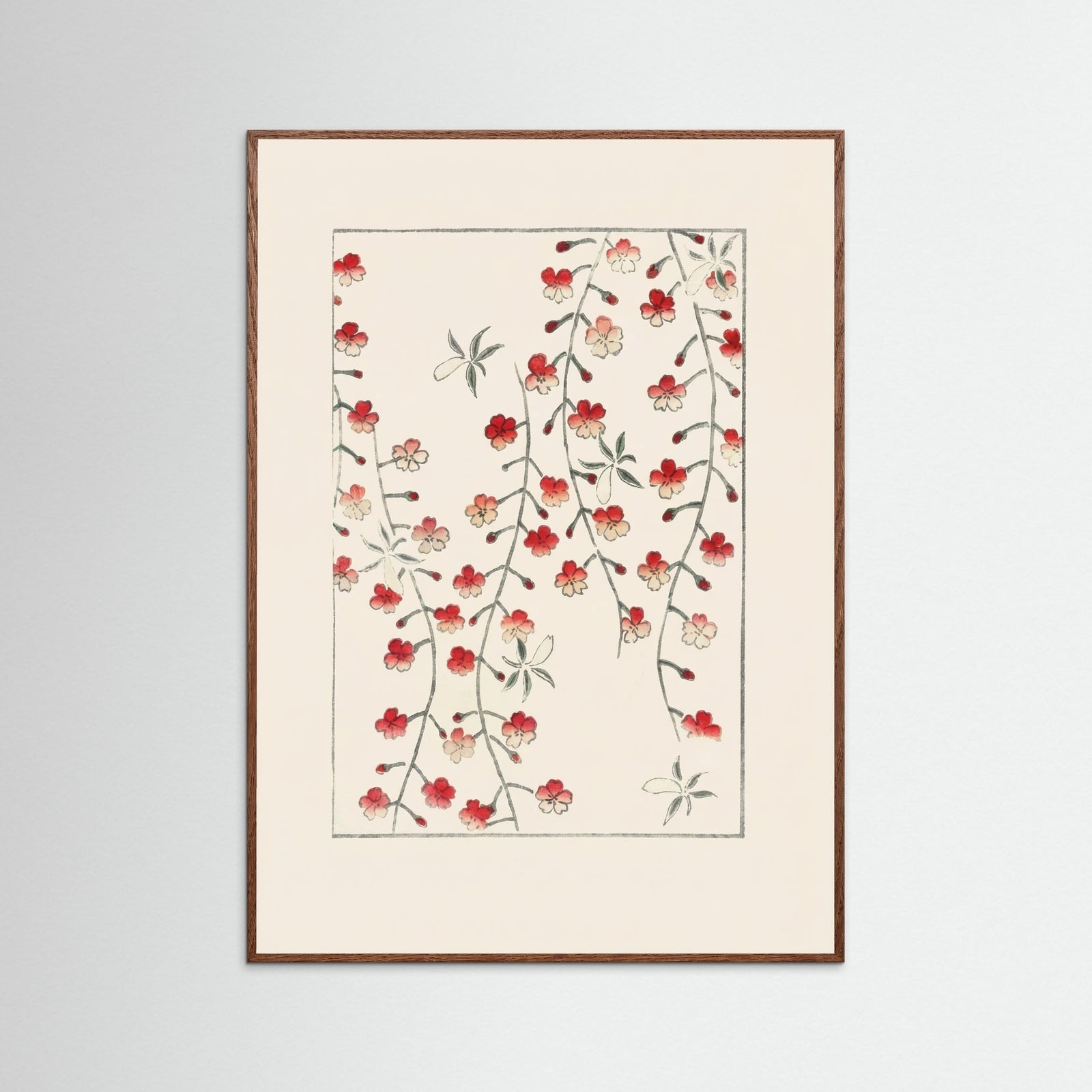 Oak Dark Crimson Botanical Cascade