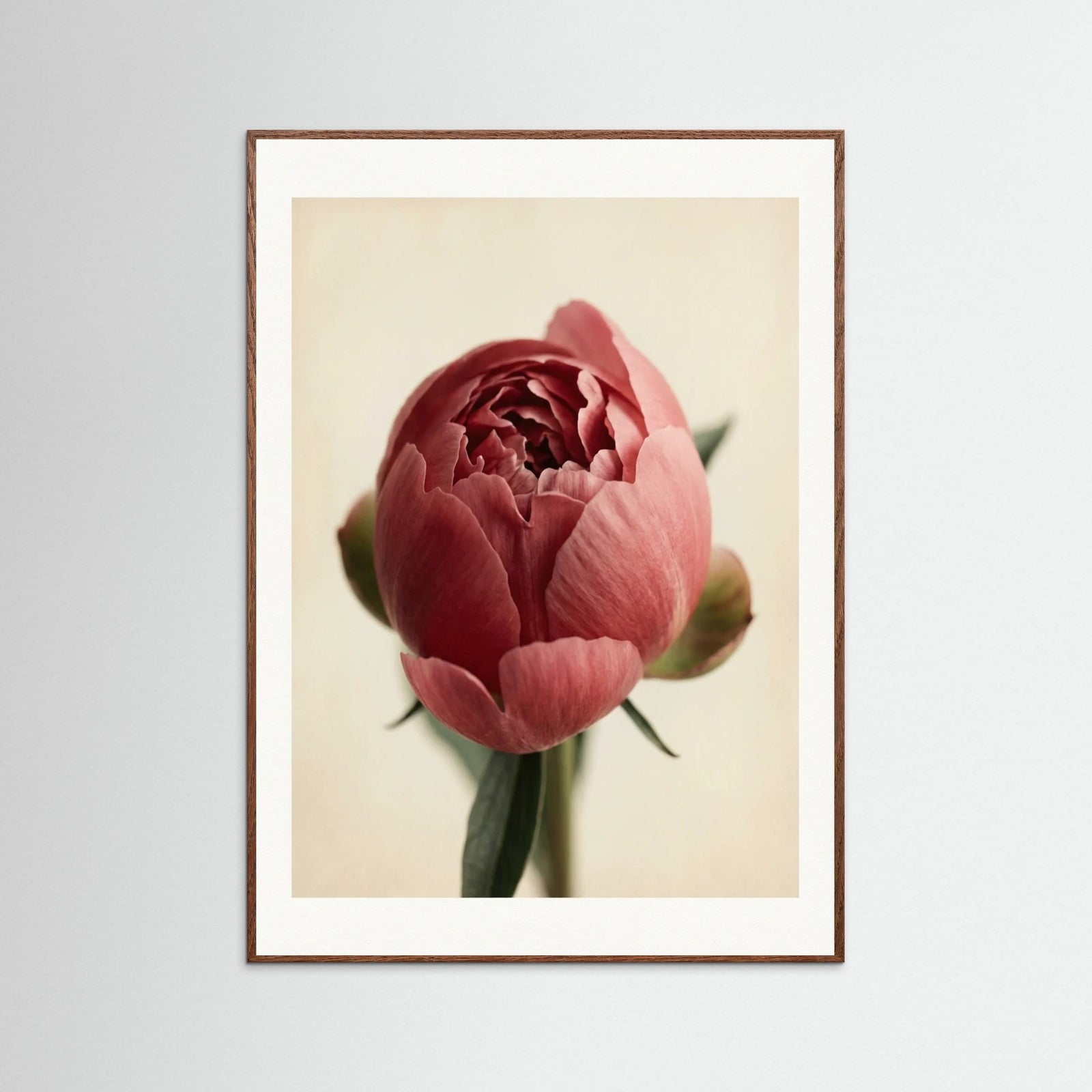 Oak Dark Crimson Trio