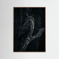 Oak Dark Dark Congregation