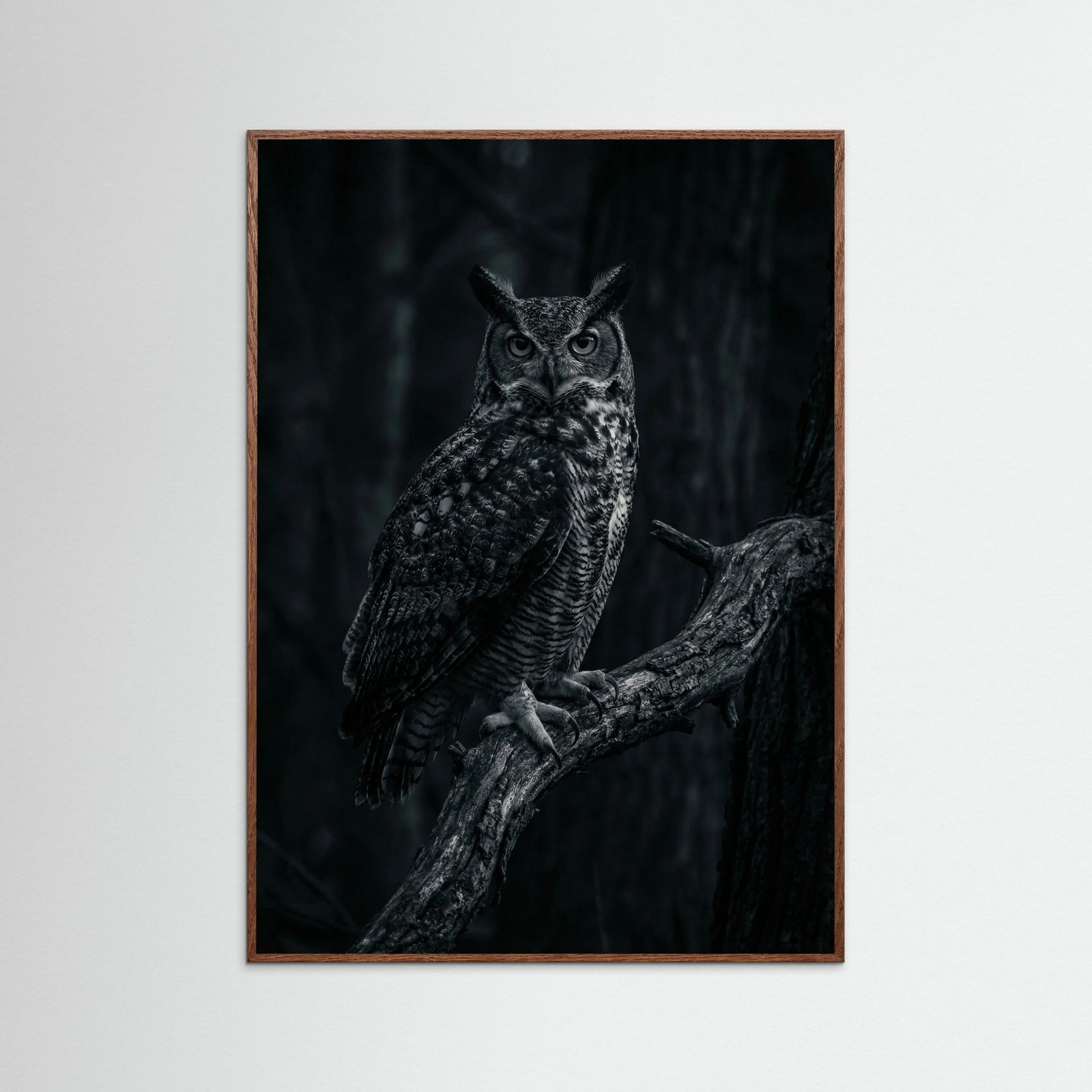 Oak Dark Dark Congregation