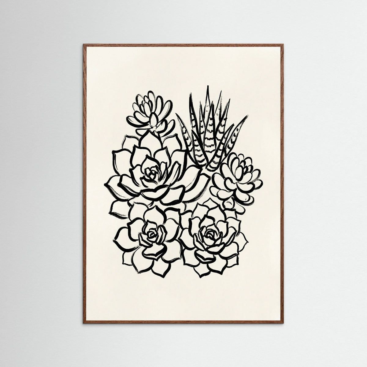Oak Dark Desert Bloom