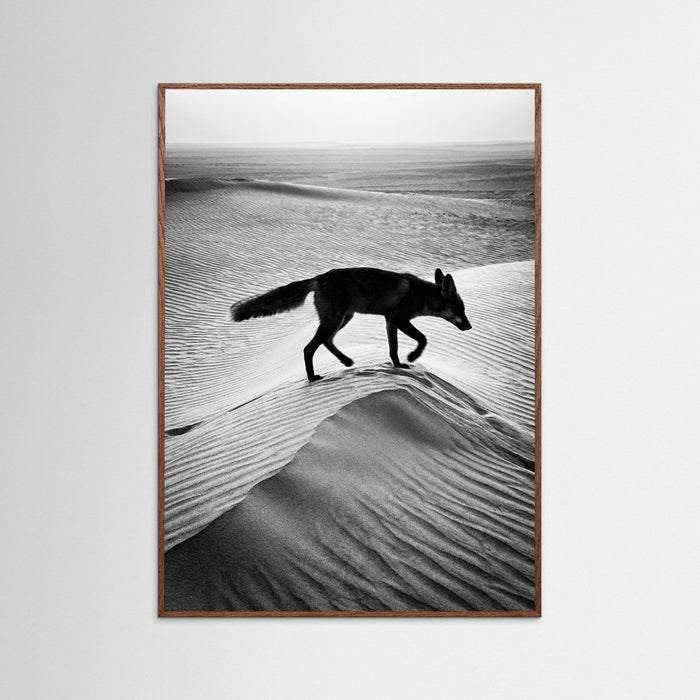 Oak Dark Desert Spirit
