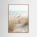 Oak Dark Dune Path Serenity