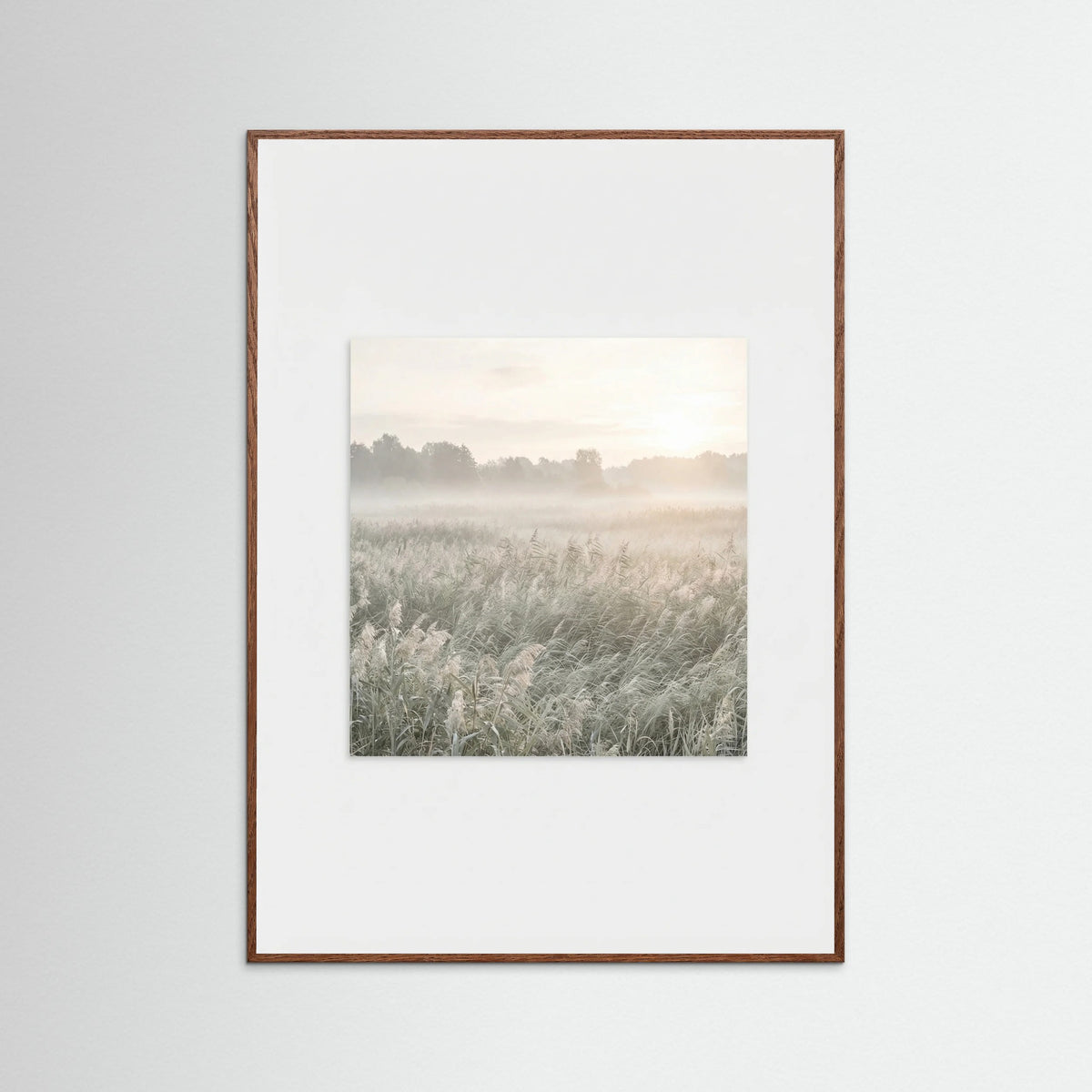 Oak Dark Dune Sunset Serenity