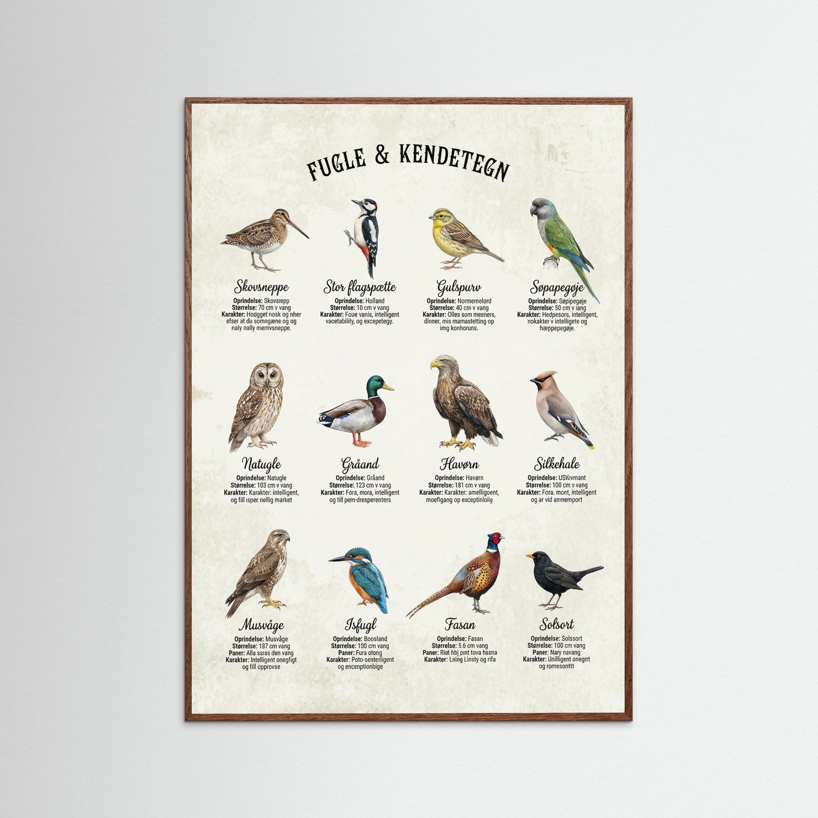 Oak Dark Equine Breed Guide