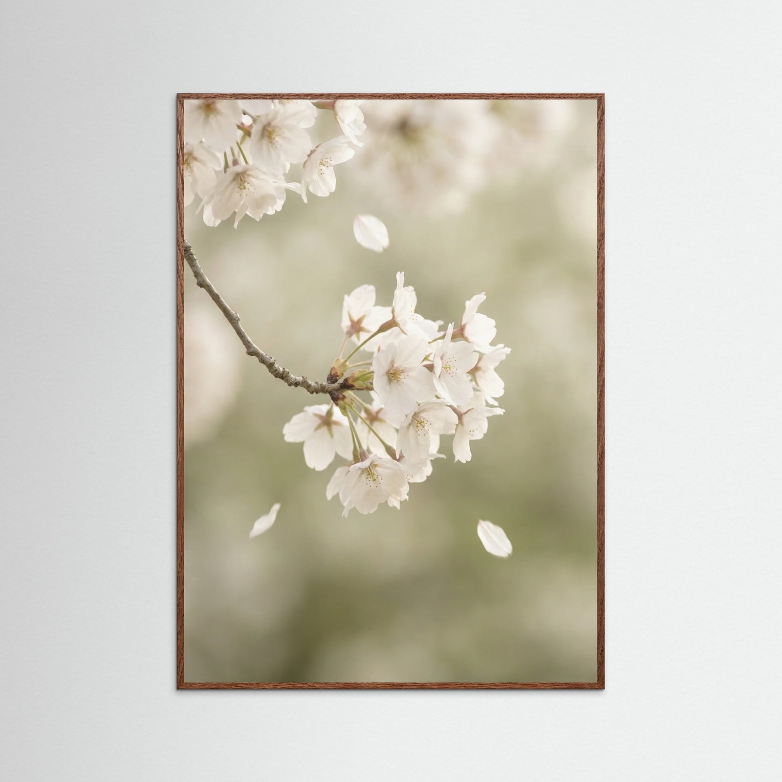 Oak Dark Ethereal Bloom White