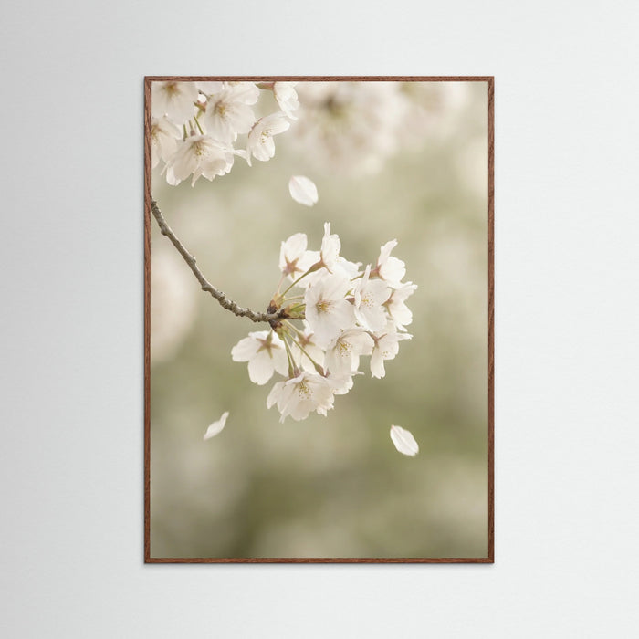 Oak Dark Ethereal Bloom