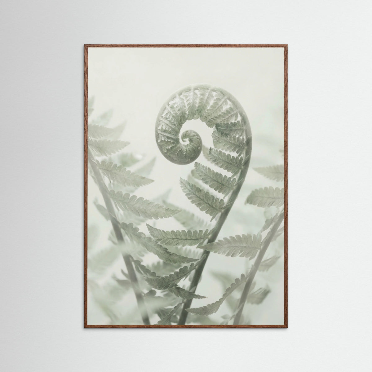 Oak Dark Ethereal Eucalyptus